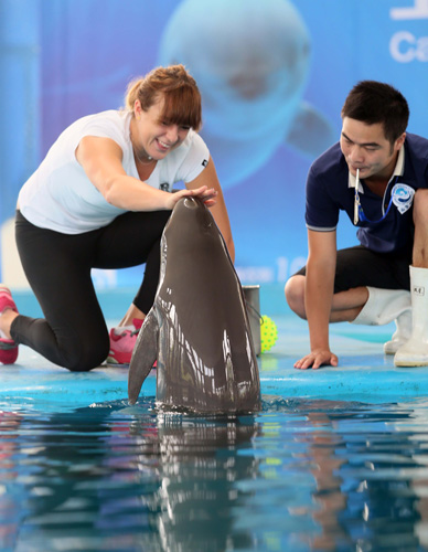 技术的完美 技术的完美