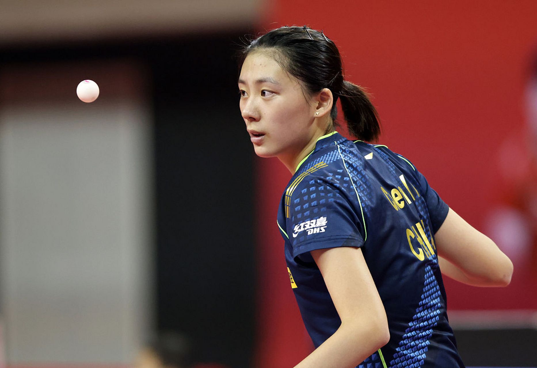 球迷的支持 球迷的支持