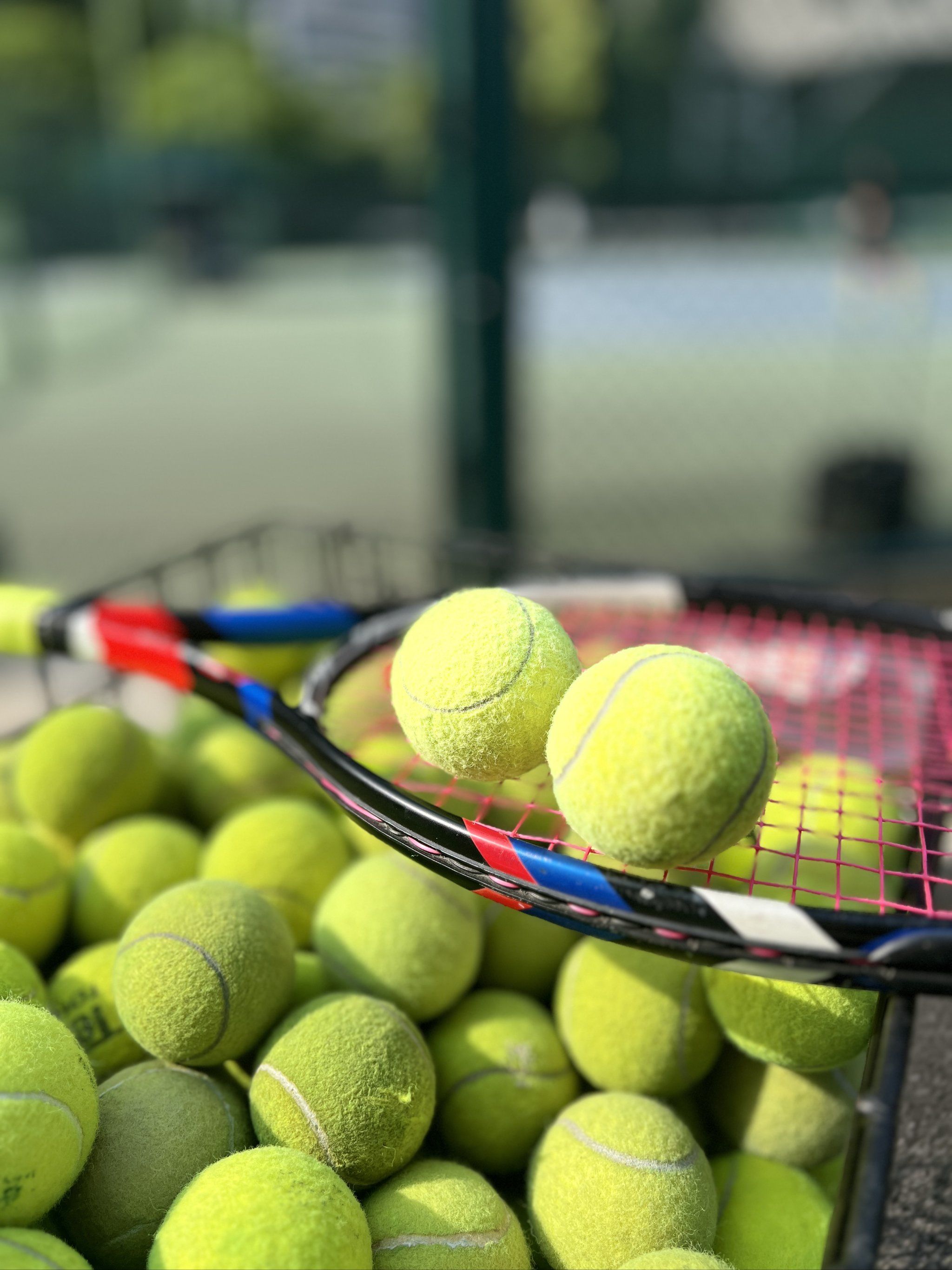 有攻击性的 有攻击性的