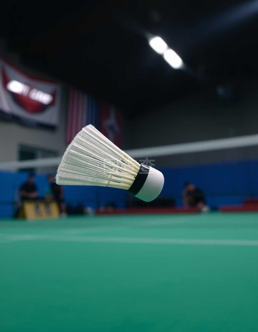 国际赛场 国际赛场