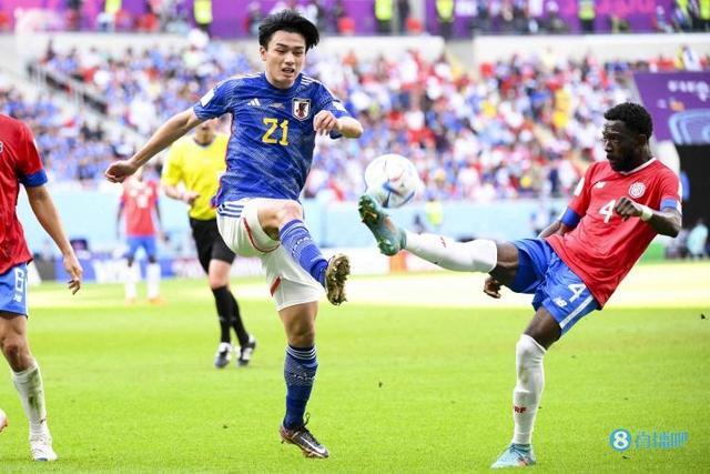 裤装选择灰 裤装选择灰